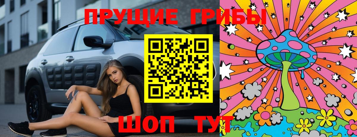Киселёвск  что такое наркотик  Вход с VPN  Псилоцибиновые грибы Psilocybine cubensis 