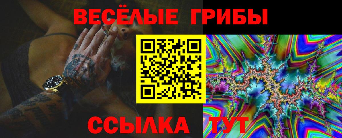 Галлюциногенные грибы Magic Shrooms Киселёвск