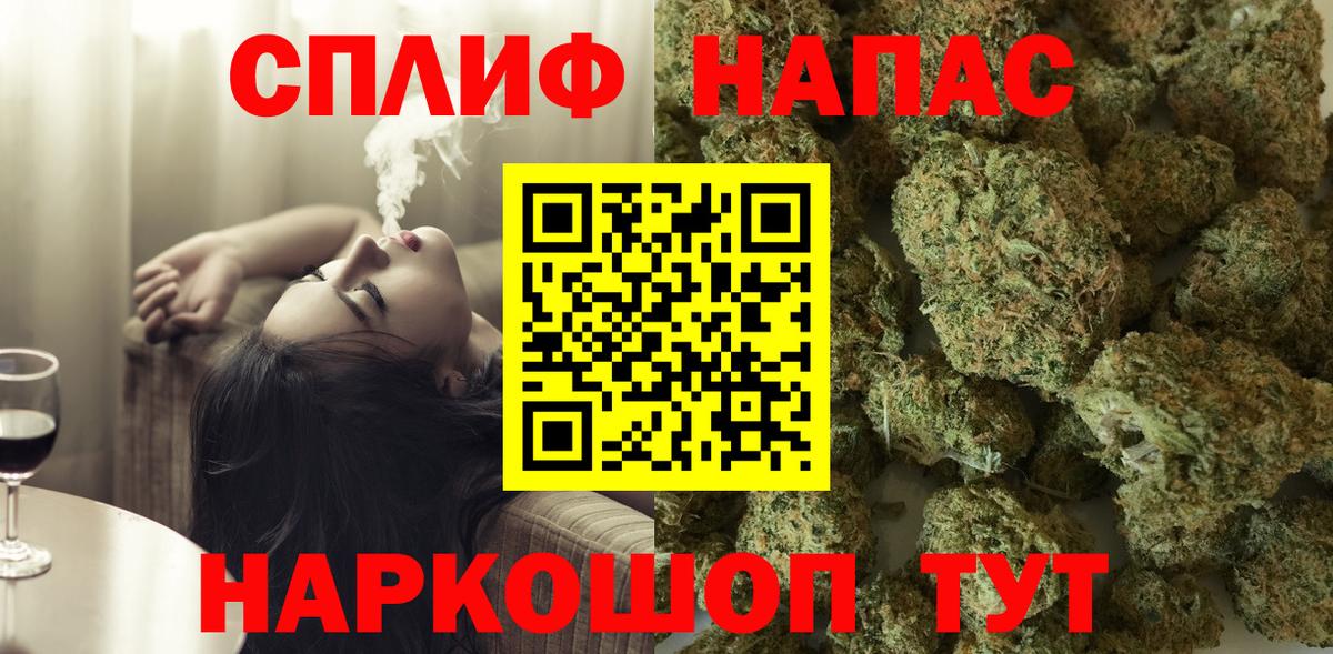 Конопля тримм  Бошки марихуана план  Вход с VPN  Киселёвск 